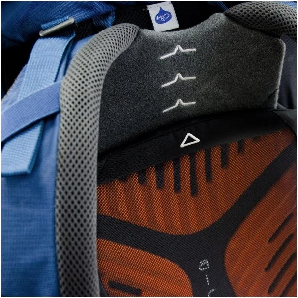 Osprey Kestrel 68 Backpack - M/L - Picholine Green - Image 6