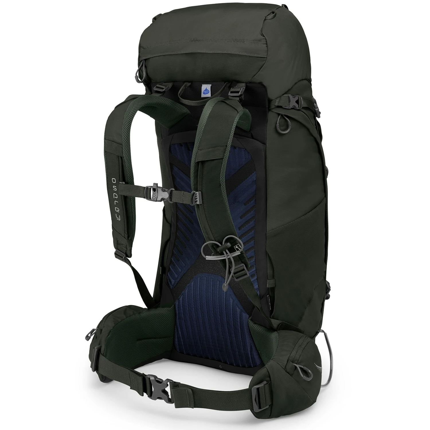 Osprey Kestrel 48 Backpack - M/L - Picholine Green - Image 2