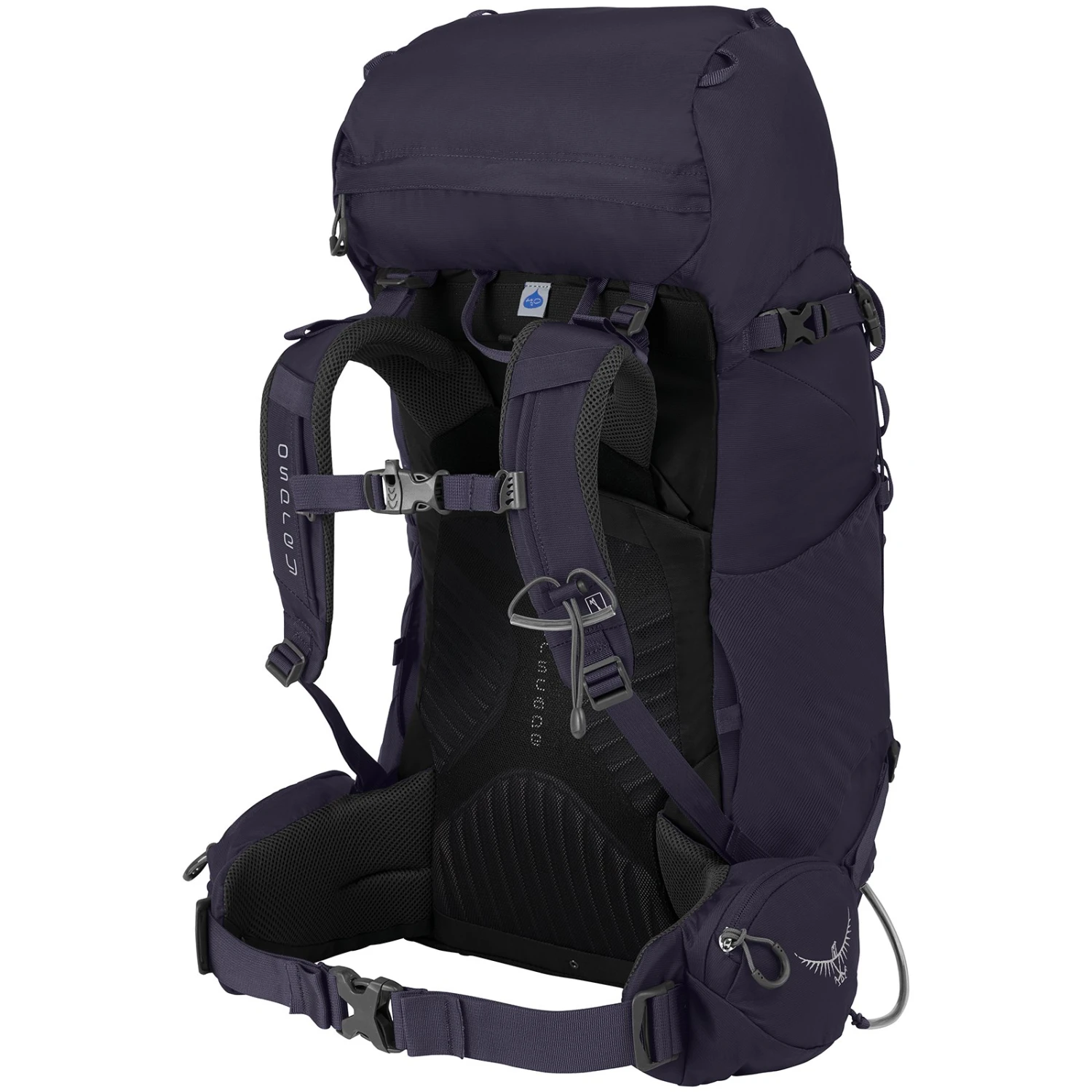 Osprey Kyte 36 - Women's Backpack - Mulberry Purple - Image 2