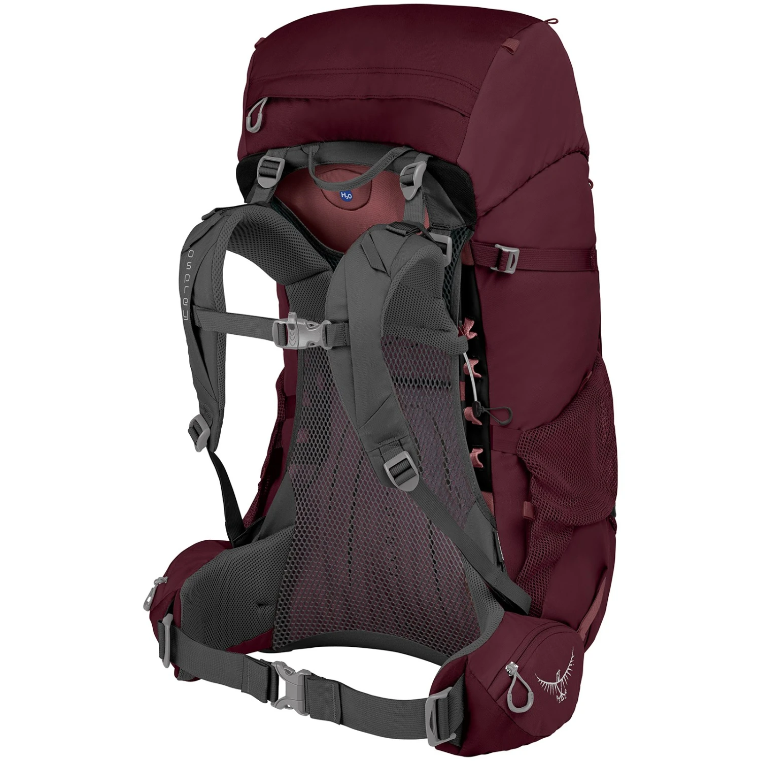 Osprey Renn 65 - Women's Backpack - Aurora Purple - Image 2