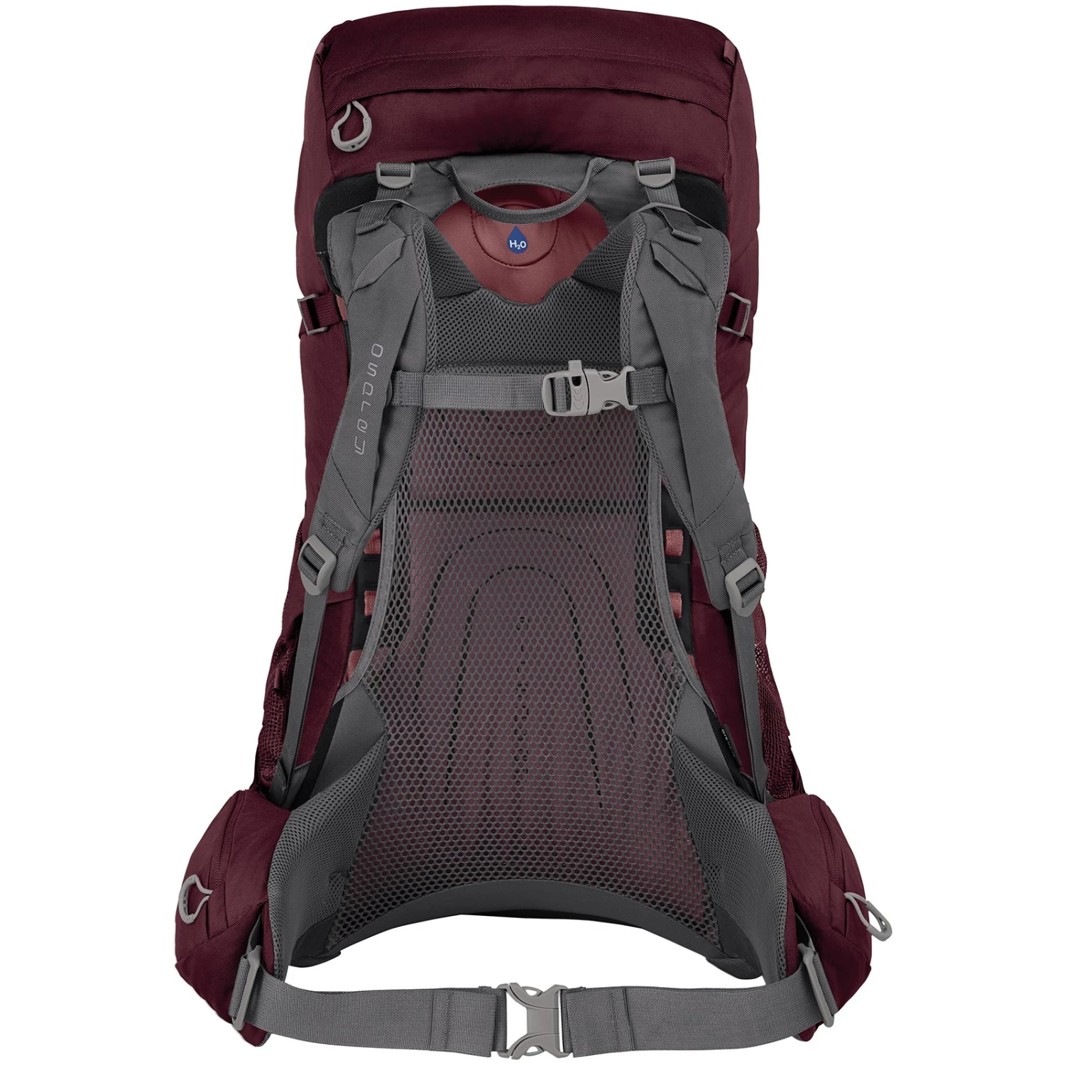 Osprey Renn 50 Women's Backpack - Aurora Purple - Image 4
