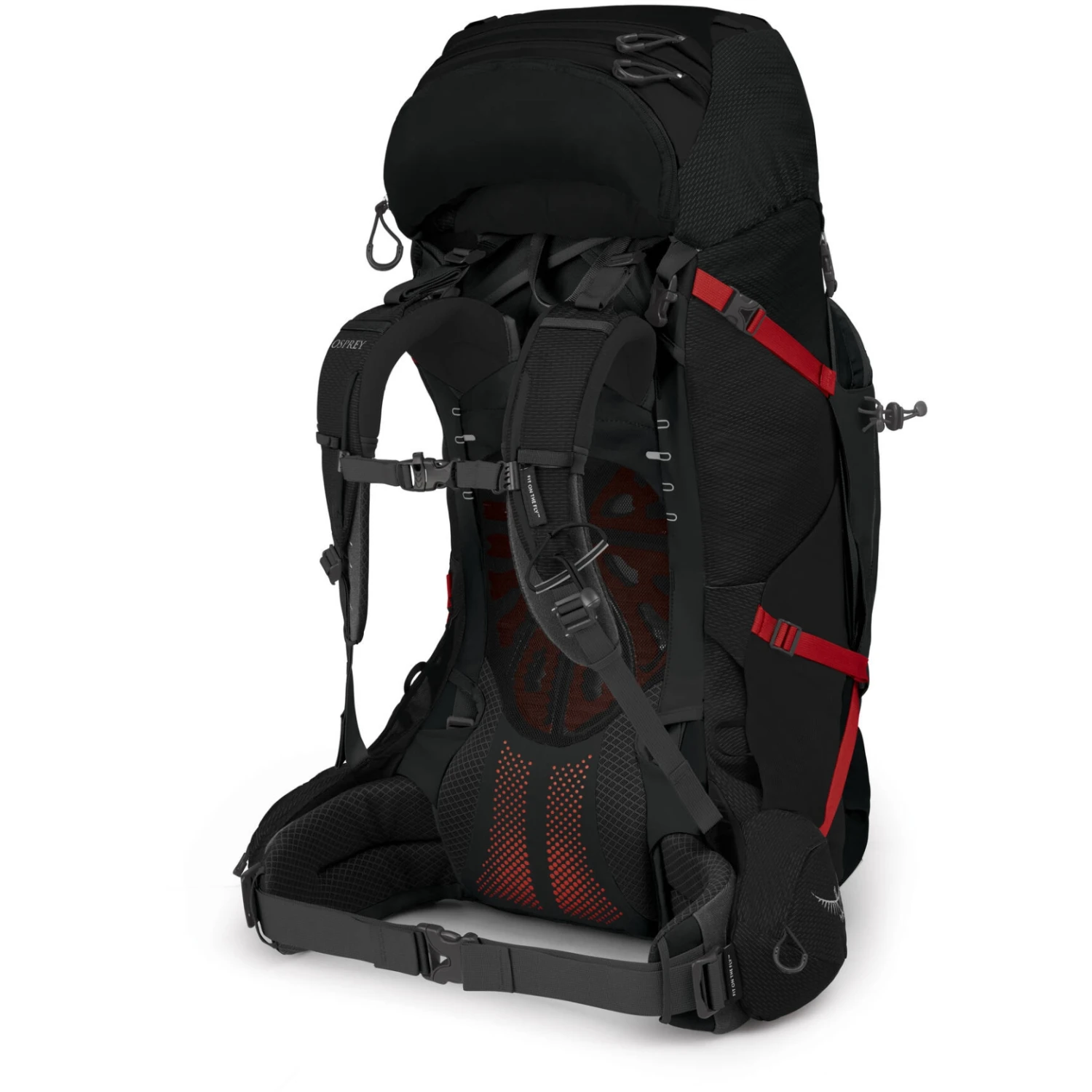 Osprey Aether Plus 70 Backpack - Black - Image 3