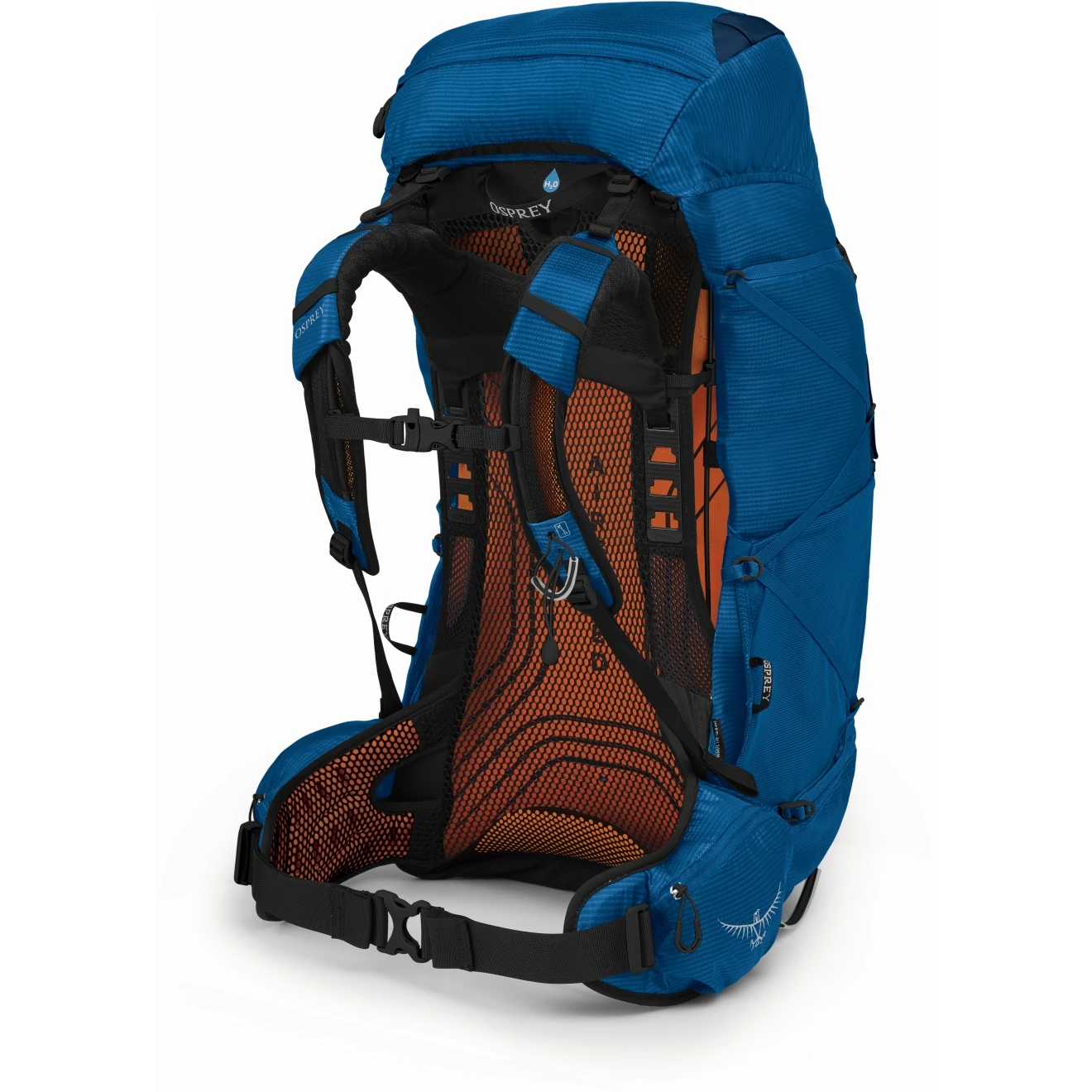 Osprey Exos 58 Backpack - Blue Ribbon - Image 3