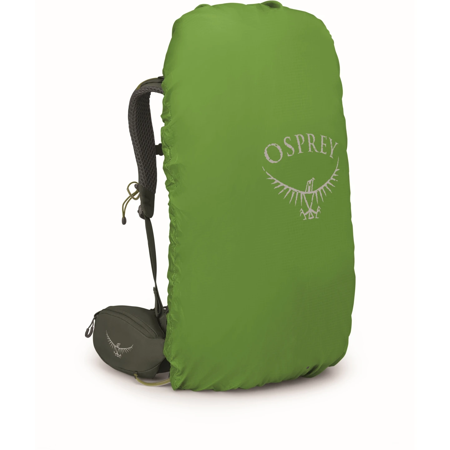 Osprey Kestrel 38 Backpack - Bonsai Green - S/M - Image 5
