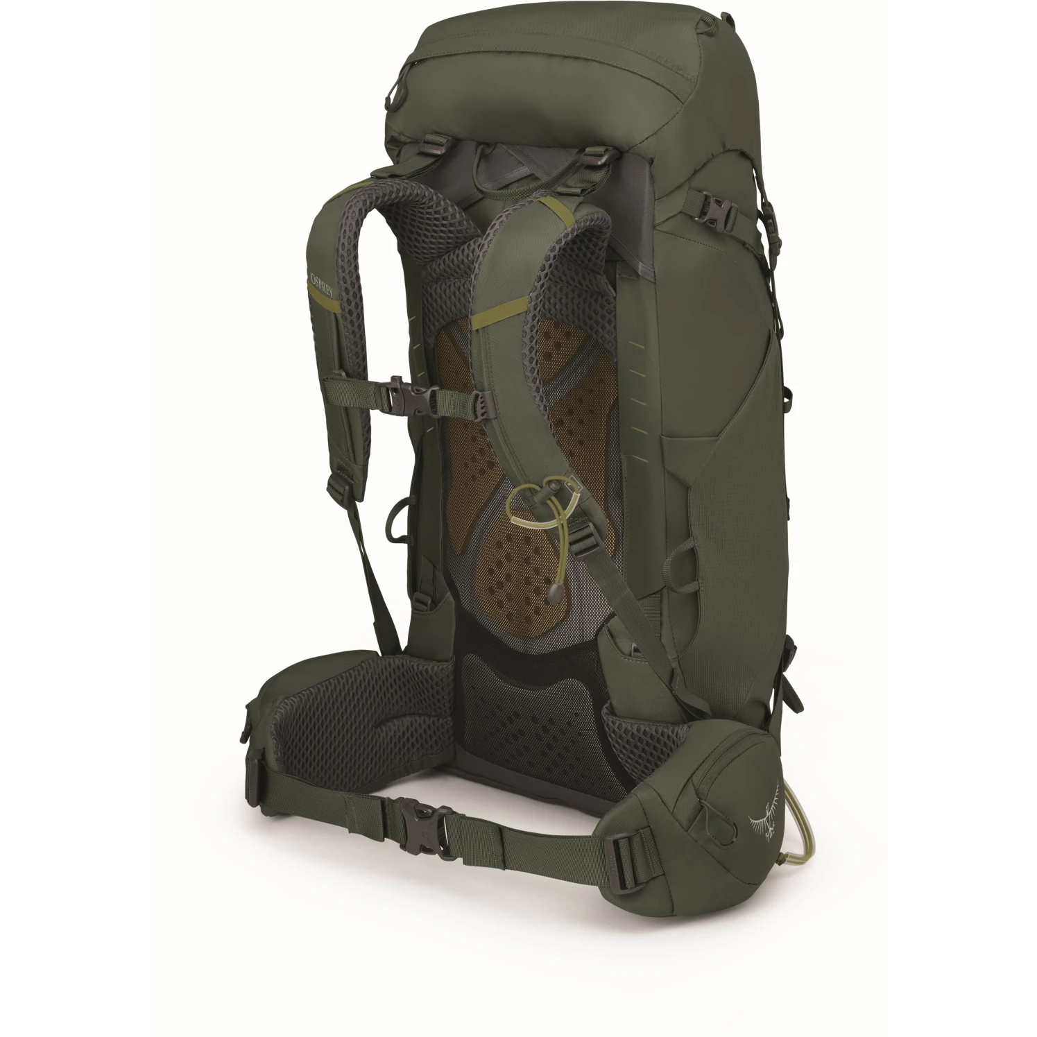 Osprey Kestrel 38 Backpack - Bonsai Green - S/M - Image 4