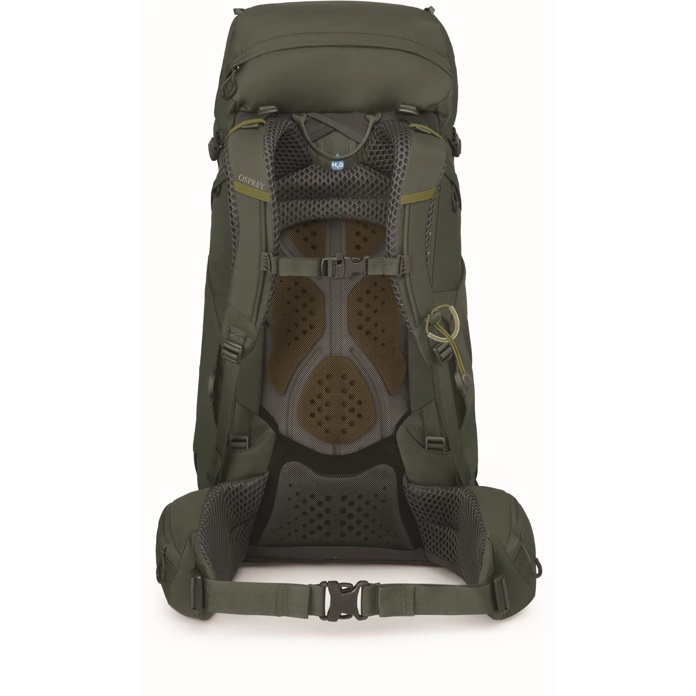 Osprey Kestrel 48 Backpack - Bonsai Green - L/XL - Image 3