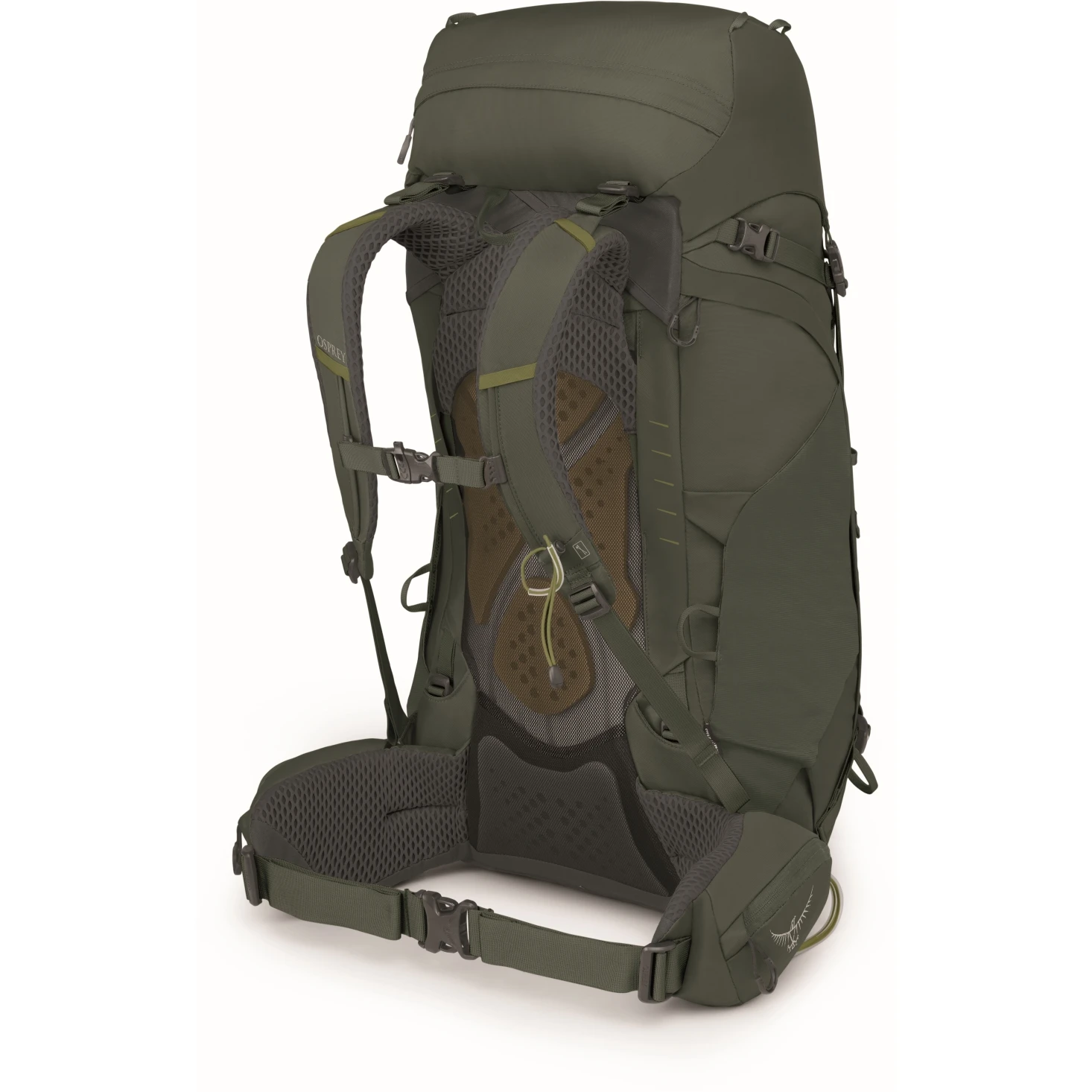 Osprey Kestrel 48 Backpack - Bonsai Green - L/XL - Image 4