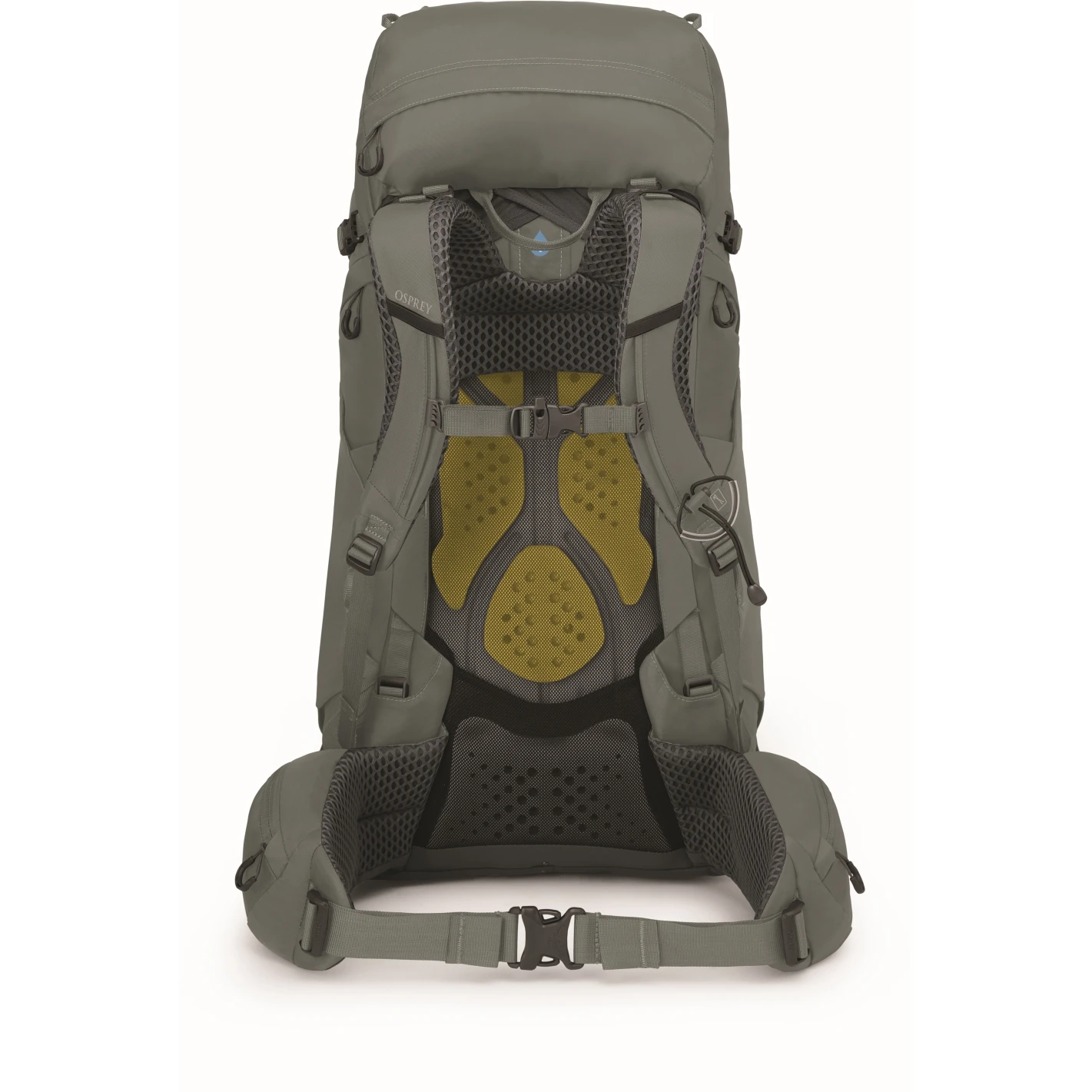 Osprey Kyte 48 Women's Backpack - Rocky Brook Green - XS/S - Image 4