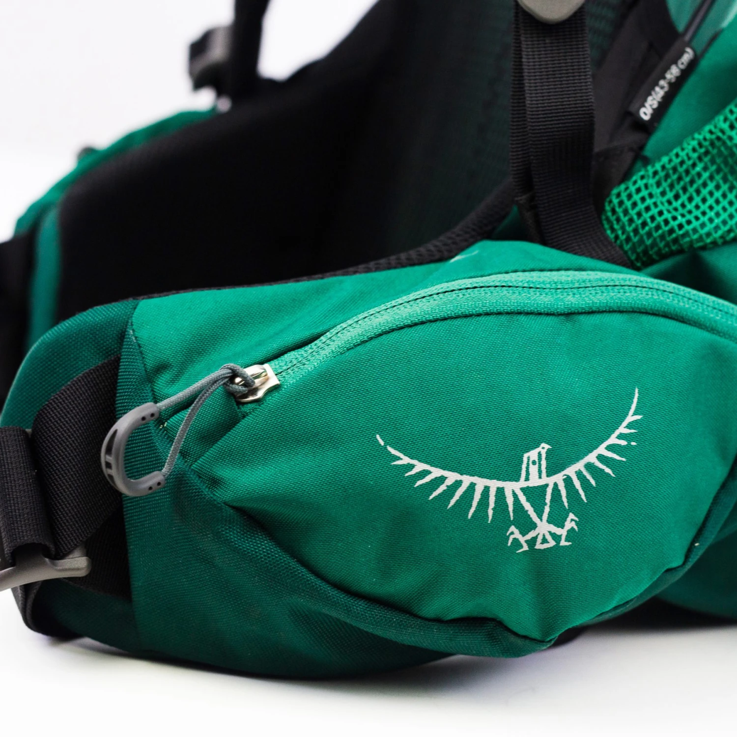 Osprey Rook 65 Backpack - Mallard Green - Image 8