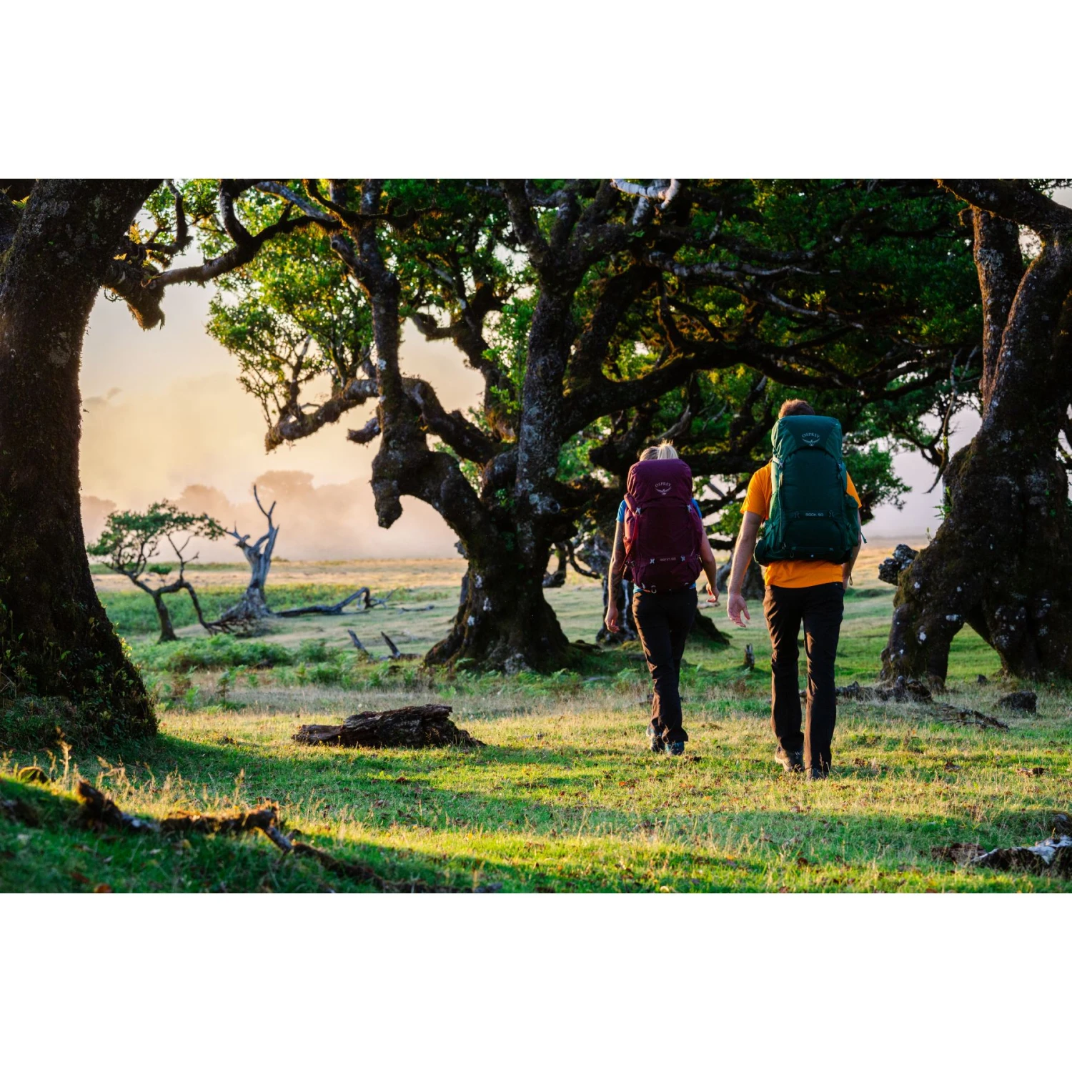 Osprey Rook 65 Backpack - Mallard Green - Image 11