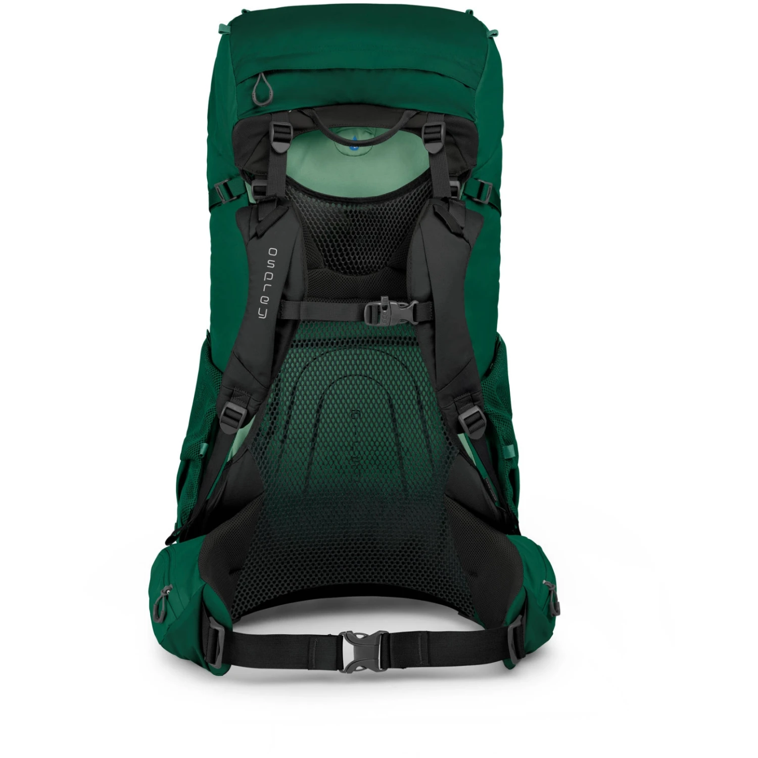 Osprey Rook 65 Backpack - Mallard Green - Image 4