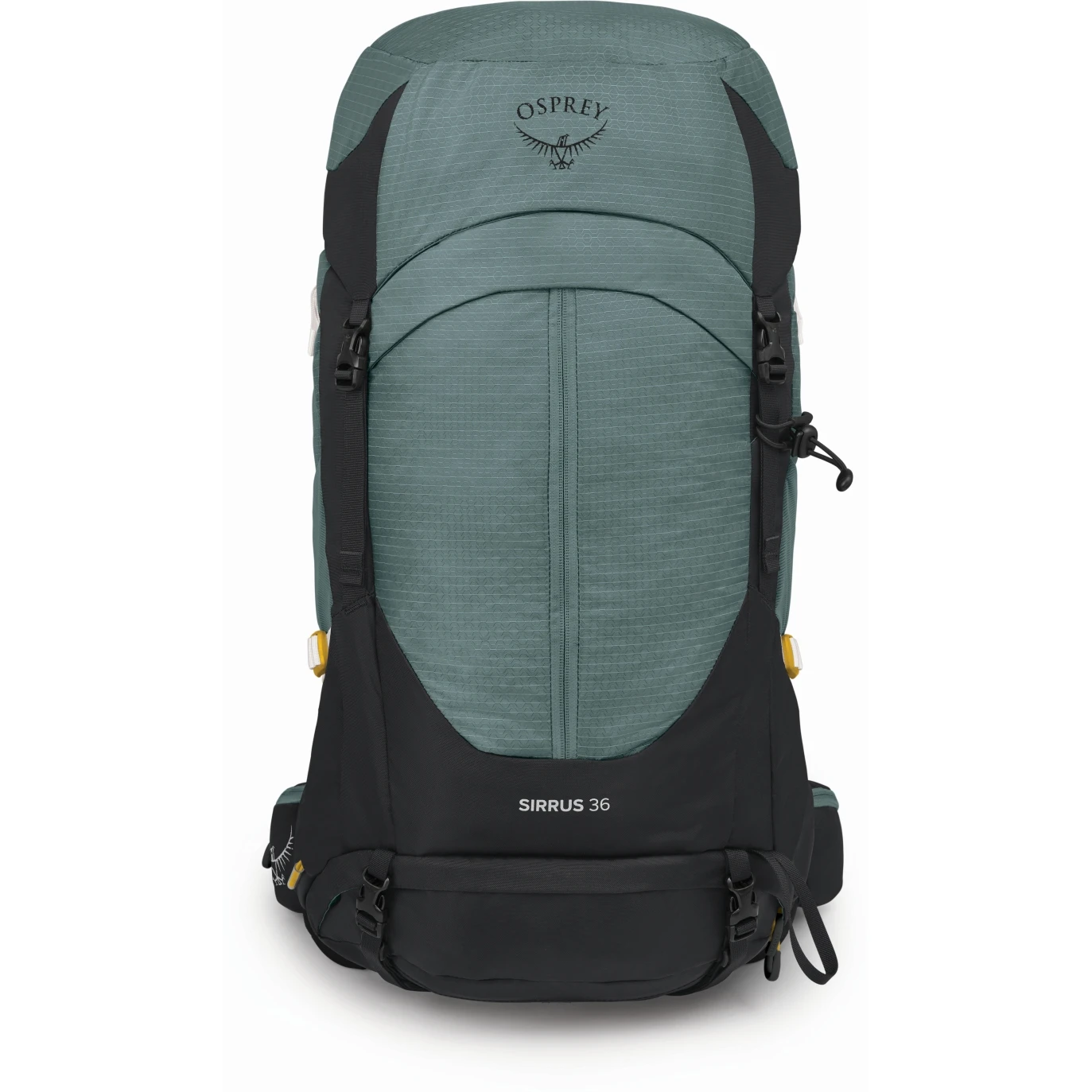 Osprey Sirrus 36 Women's Backpack - Succulent Green - Image 2