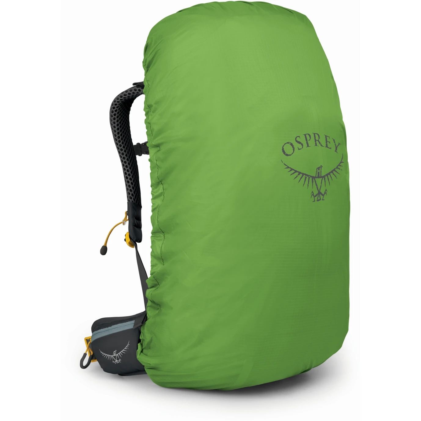 Osprey Sirrus 36 Women's Backpack - Succulent Green - Image 4