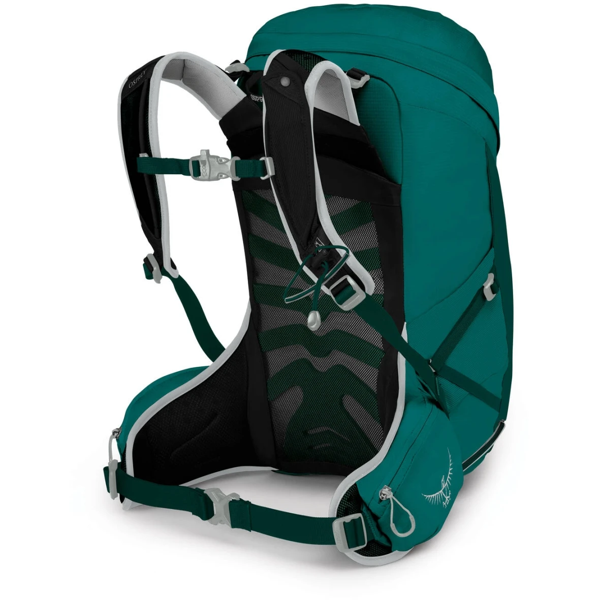 Osprey Tempest 24 Women's Backpack - Jasper Green - Image 2